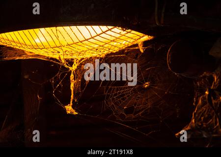 Salvador, Bahia, Brésil - 28 mars 2015 : une lumière jaune avec un nid de toile d'araignée à côté. Ordre des arthropodes de la classe des Arachnides. Banque D'Images