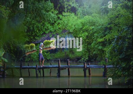 Agriculteur marchant sur un pont en bois transportant des plants de riz sur un poteau, Thaïlande Banque D'Images