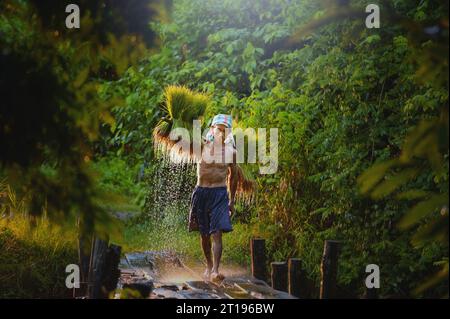 Agriculteur marchant sur un pont en bois transportant des plants de riz sur un poteau, Thaïlande Banque D'Images