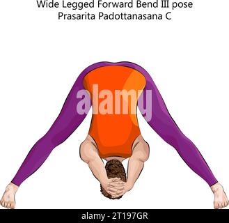 Jeune femme faisant du yoga Prasarita Padottanasana C. jambes larges Forward Bend 3 pose. Difficulté intermédiaire. Illustration vectorielle isolée. Illustration de Vecteur