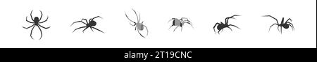 Icônes de l'ensemble araignée d'Halloween. Silhouette de l'icône d'insecte noir. Poster Vector Holiday d'octobre, illustration d'horreur plate Illustration de Vecteur