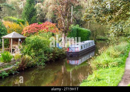 Canal narrowboat amarré le long des jardins sur le canal Caldon dans le village de Churnet Valley de Cheddleton Staffordshire pendant l'automne Banque D'Images