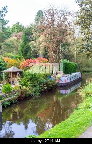 Canal narrowboat amarré le long des jardins sur le canal Caldon dans le village de Churnet Valley de Cheddleton Staffordshire pendant l'automne Banque D'Images