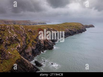 Randonnée le long de la côte sauvage de Porthgain West sur le Pembrokeshire au sud-ouest du pays de Galles Royaume-Uni Banque D'Images