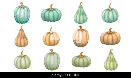 Grand ensemble de citrouilles de différentes formes dans des couleurs pastel. Éléments d'aquarelle pour la conception d'automne. Thanksgiving, Halloween, Harvest Banque D'Images