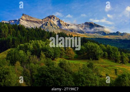 Paysage alpin classique, prairies verdoyantes avec de hautes montagnes rocheuses en arrière-plan, canton de Graubünden (canton de Grison), Suisse. Banque D'Images