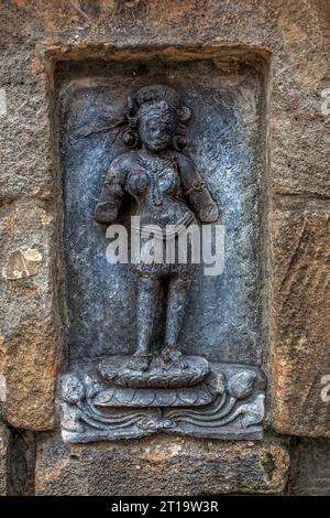 07 21 2007 l'un des soixante-quatre yoginis du temple Yogini du 9e siècle, vénéré pour leur aide à la déesse Durga, Hirapur près de Bhubaneshwar Banque D'Images