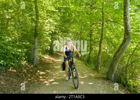 Radfahrerin im Wald, Bayern, Allemagne Banque D'Images