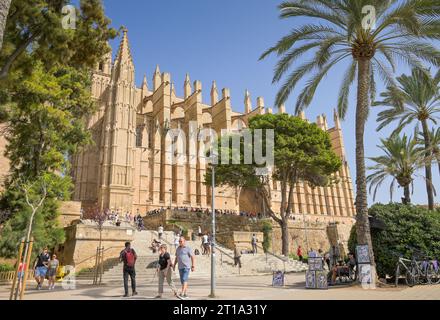 Südansicht der Kathedrale, Catedral de Palma de Mallorca, Palma, Majorque, Espagnol Banque D'Images