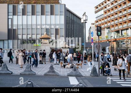 Les gens regardent un promeneur de chiens avec beaucoup de chiens à Harajuku, Tokyo, Japon Banque D'Images