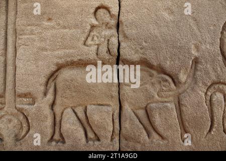 Homme chevauchant éléphant montré dans le travail de secours sur des blocs au temple de Dendera, près de Qena, en Egypte Banque D'Images