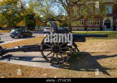 Salmon Run dans la rivière Ganaraska. Port Hope, ONTARIO. Canada Banque D'Images
