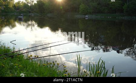 Gros plan de cannes à pêche dans les rayons du soleil couchant debout sur un stand sur la rive de la rivière. Pêche en soirée près du lac. Pêcheur, pêche, pêche Banque D'Images