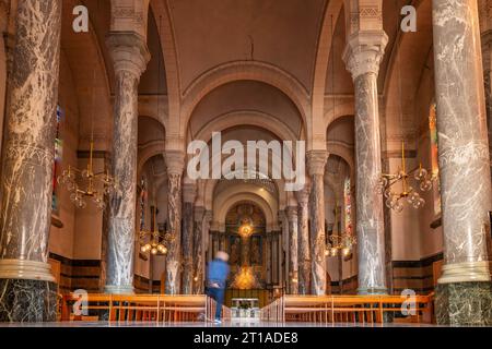 Intérieur de la Basilique de la Visitation, à Annecy, haute-Savoie, France Banque D'Images