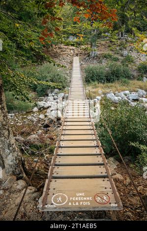 Passerelle suspendue dans la forêt sur la variante Monte Incudine entre I Croci et Asinau, GR20, Corse, France Banque D'Images