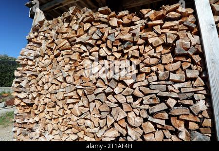 Italien, Südtirol 11. Oktober 2023 hier der Blick auf gehacktes Holz, Brennholz, Feuerholz, gestapelt, welches zum Heizen, Nutzfeuer verwendet werden kann, Stückholz *** Italie, Tyrol du Sud 11 octobre 2023 Voici la vue de bois haché, bois de chauffage, bois de chauffage, empilés, qui peuvent être utilisés pour le chauffage, feu utile, bûches. Crédit : Imago/Alamy Live News Banque D'Images