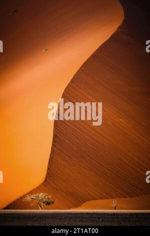 Dune de sable imposante dans le parc national de Namib-Naukluft, Namibie, Afrique. Banque D'Images
