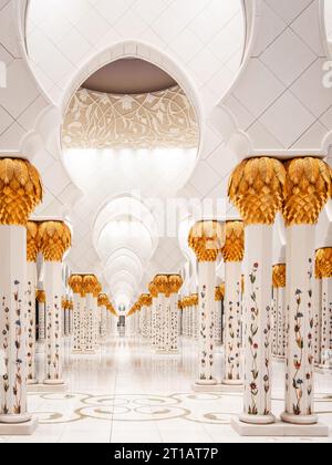 Grande mosquée Sheikh Zayed à Abu Dhabi, Émirats arabes Unis (eau). Banque D'Images