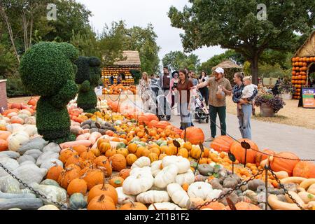 Dallas, États-Unis. 12 octobre 2023. Les gens regardent des citrouilles dans le village de citrouilles de l'Arboretum de Dallas, au Texas, aux États-Unis, le 12 octobre 2023. Le célèbre village de citrouilles de Dallas arboretum présente des maisons de citrouilles et des expositions créatives conçues à partir de plus de 100 000 citrouilles, gourdes et courges. Crédit : Dan Tian/Xinhua/Alamy Live News Banque D'Images