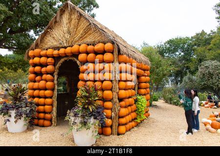 Dallas, États-Unis. 12 octobre 2023. Les gens visitent une maison de citrouilles dans le village de citrouilles de l'Arboretum de Dallas, au Texas, aux États-Unis, le 12 octobre 2023. Le célèbre village de citrouilles de Dallas arboretum présente des maisons de citrouilles et des expositions créatives conçues à partir de plus de 100 000 citrouilles, gourdes et courges. Crédit : Dan Tian/Xinhua/Alamy Live News Banque D'Images