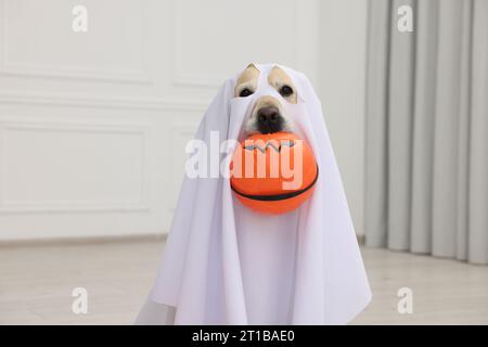 Chien mignon Labrador Retriever portant un costume de fantôme avec seau d'Halloween à l'intérieur Banque D'Images