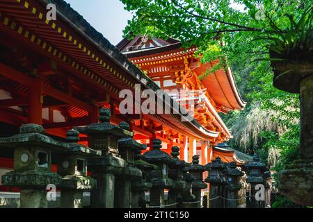 Kasuga Taisha, un sanctuaire d'un millier de lanternes à nara, kansai, japon Banque D'Images