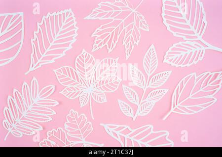 Feuilles blanches en papier carve ou en coupant sur fond rose. Banque D'Images
