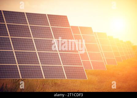 Panneaux solaires sur le terrain au coucher du soleil Banque D'Images
