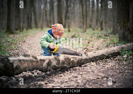 petit garçon sciant un arbre tombé dans la forêt au printemps Banque D'Images