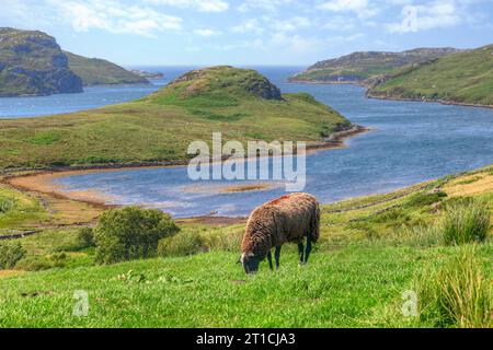 Loch Inchard est un loch situé à Durness, Sutherland, en Écosse. Banque D'Images