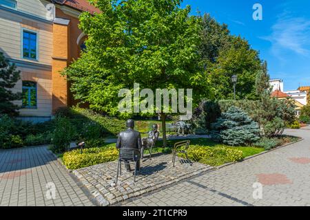 Ponts et barrages sur la rivière Odra à Opole, Pologne. Banque D'Images