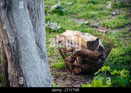 Panier de bois de chauffage dans le jardin sur l'herbe. Combustible pour le poêle. Banque D'Images