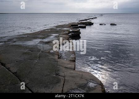 La plage rocheuse inhabituelle et le rivage de Kimmeridge Bay sur la côte Jurrasic dans le Dorset, en Angleterre. Banque D'Images