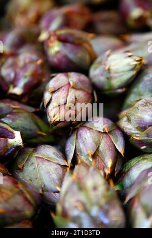 Artichaut, marché Vucciria, Palerme, Sicile. Banque D'Images