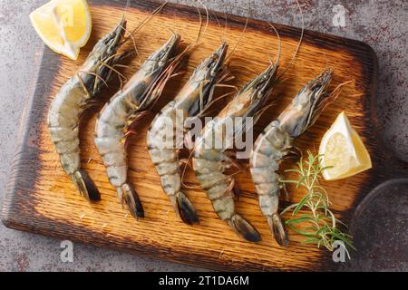 Crevettes tigrées noires non pelées non cuites, crevettes au citron et romarin closeup sur la planche de bois sur une table. Vue de dessus horizontale Banque D'Images