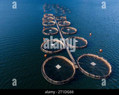 Ferme de poissons de saumon dans la vue aérienne de la rivière. grandes clôtures en maille ronde pour l'élevage de poissons dans le lac. Banque D'Images