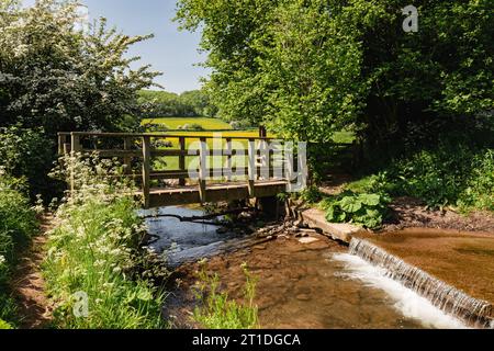 La passerelle Herefordshire Way au-dessus d'un petit ruisseau sur le chemin à travers la campagne de Golden Valley. Peterchurch, Herefordshire, Angleterre, Royaume-Uni, Grande-Bretagne Banque D'Images