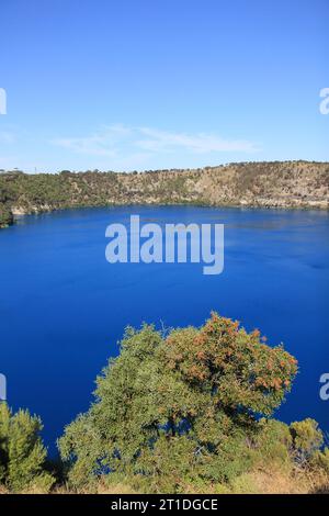 Vue sur le lac bleu - célèbre attraction touristique du mont Gambier, Australie du Sud Banque D'Images