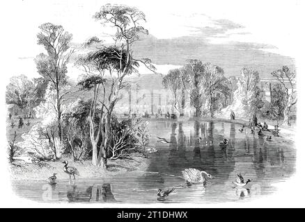 Le nouveau lac, Kew Gardens, [Londres], 1860. 'Beaucoup de efforts ont été faits au cours de l'année écoulée pour améliorer le parc de plaisance ou Arboretum. Outre la plantation continue, la formation de nouvelles promenades et le meilleur garde des pelouses très étendues, il y a deux caractéristiques en anticipation qui ajouteront grandement à la beauté et aux attractions de ces terrains. L'un est le nouveau lac, cinq acres dans l'étendue, maintenant presque achevé... ce lac, avec son île magnifiquement boisée, est situé à mi-chemin entre la Palm-House et la Tamise, sur la gauche de la vue de Zion. Il sera fourni jusqu'à ce que l'eau du Tha Banque D'Images