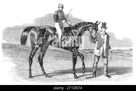 Sweetsauce, le gagnant de la coupe des stewards et de la coupe Goodwood, 1860. "Ce châtaignier, qui a si inopinément fait irruption dans le monde des Turfs en tant que vainqueur de la Goodwood Cup alors qu'ils ne le croyaient pas capable, en langage de course, de "dépasser un mile", est la propriété de Lord Annesley, et entraîné par M. John Scott à Whitewall, près de Malton... il est par Sweetmeat de Irish Queen, et a une formation plutôt particulière sur ses reins, qui disparaît progressivement à mesure qu'il vieillit sur lui. Aldcroft l'a monté dans quatre de ses courses, Charlton et J. Snowden dans les trois autres. Le sien Banque D'Images