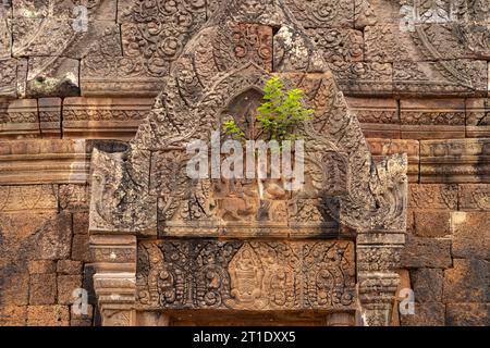 Relief avec Shiva et Parvati sur le taureau Nandi au-dessus de la fausse porte du temple de montagne Wat Phu, province de Champasak, Laos, Asie Banque D'Images