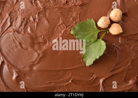 Fond brun avec détail de texture de crème de cacao avec noisettes pelées et feuilles sur le dessus. Vue de dessus. Banque D'Images