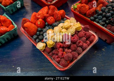 paniers de fruits frais mis en vente : fraises, bleuets, cerises de terre dans leurs enveloppes et framboises Banque D'Images