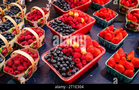 paniers de fruits frais mis en vente : fraises, bleuets, cerises de terre dans leurs enveloppes et framboises Banque D'Images