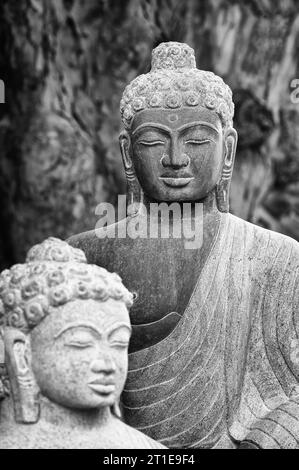 Sereinement belle statue de Bouddha sculptée dans la pierre de granit près des cinq Rathas à Mamallapuram, Tamil Nadu, Inde. Banque D'Images