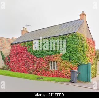 Chant des cygnes du lierre, les feuilles grimpent sur le mur d'un chalet dans le village anglais de Wadenhoe, un jour d'automne. Banque D'Images