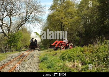 'Winifrad' entre Dolfawr et Pentrepiod s'arrête avec un train de wagons d'ardoise, de tracteur d'époque et de ré-acteurs. Banque D'Images