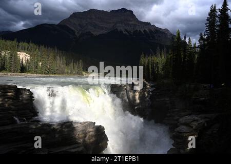 Athabasca Falls est une chute d'eau située dans le parc national Jasper, en Alberta, au Canada. Banque D'Images