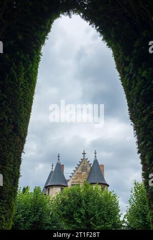 Angers, France, 2023. Dans le jardin formel, l'arc pointu d'un topiaire d'if imitant les toits du 15e cent. tourelles du châtelet (verticales) Banque D'Images