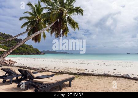 Vue sur la côte avec chaises longues vacantes sous les palmiers de cocotiers un jour d'été. Côte d'Or Beach, île de Praslin, Seychelles Banque D'Images